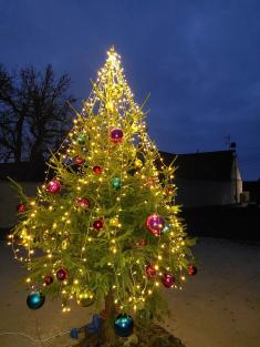 Rozsvěcení vánoční stromu