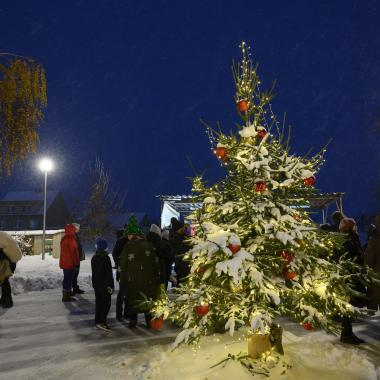 Rozsvěcení vánočního stromu v Jamolicích